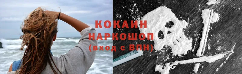 закладки  Вилючинск  Cocaine Fish Scale 