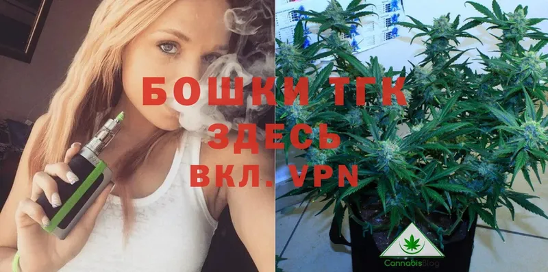 Бошки Шишки THC 21%  это наркотические препараты  Вилючинск 